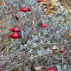 11 b Rund um Ellwangen
